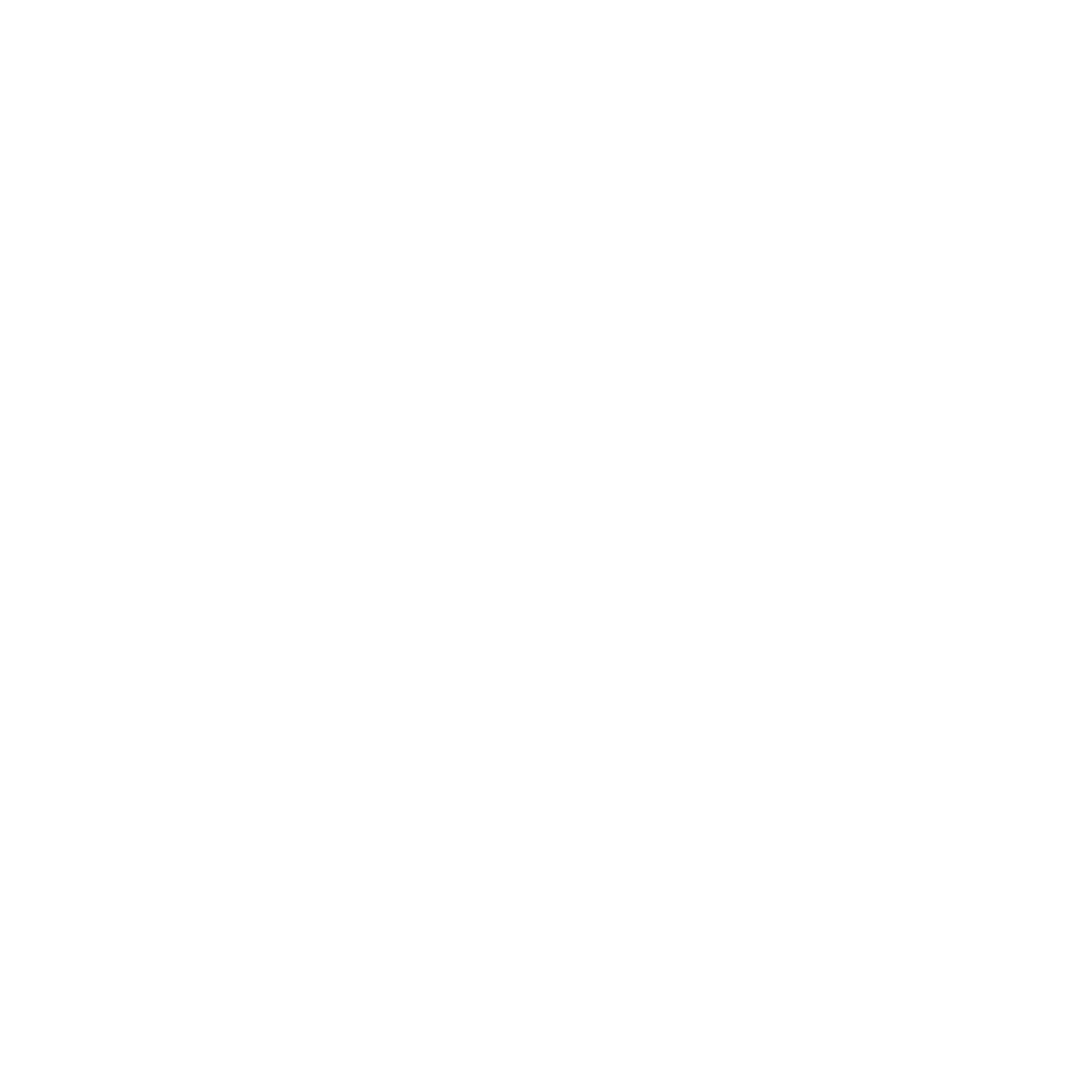 SeoDev.pl - logo firmy